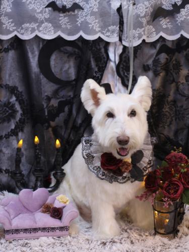 20231014ムーミンくん